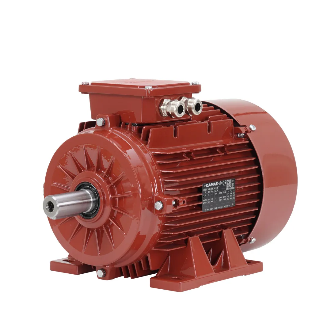 ATEX 22 Motorlar